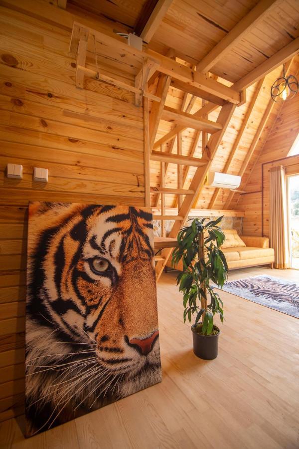 Gaia Bungalows โฟชา ภายนอก รูปภาพ